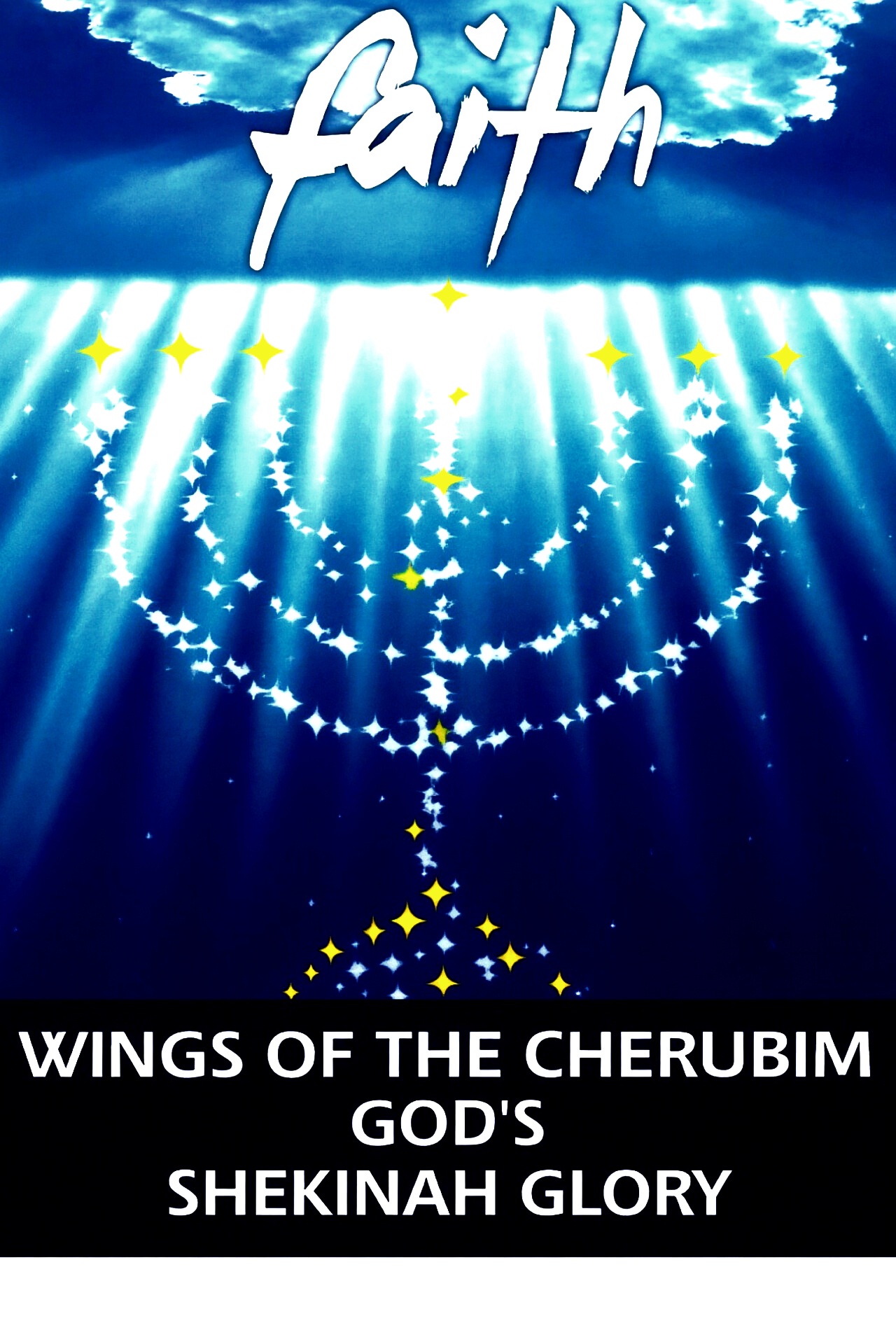 Wings of the Cherubim Vision